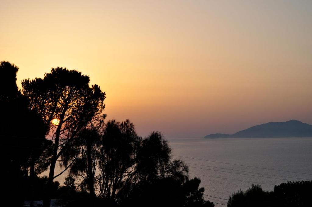 B&B Il Sogno Anacapri  Room photo